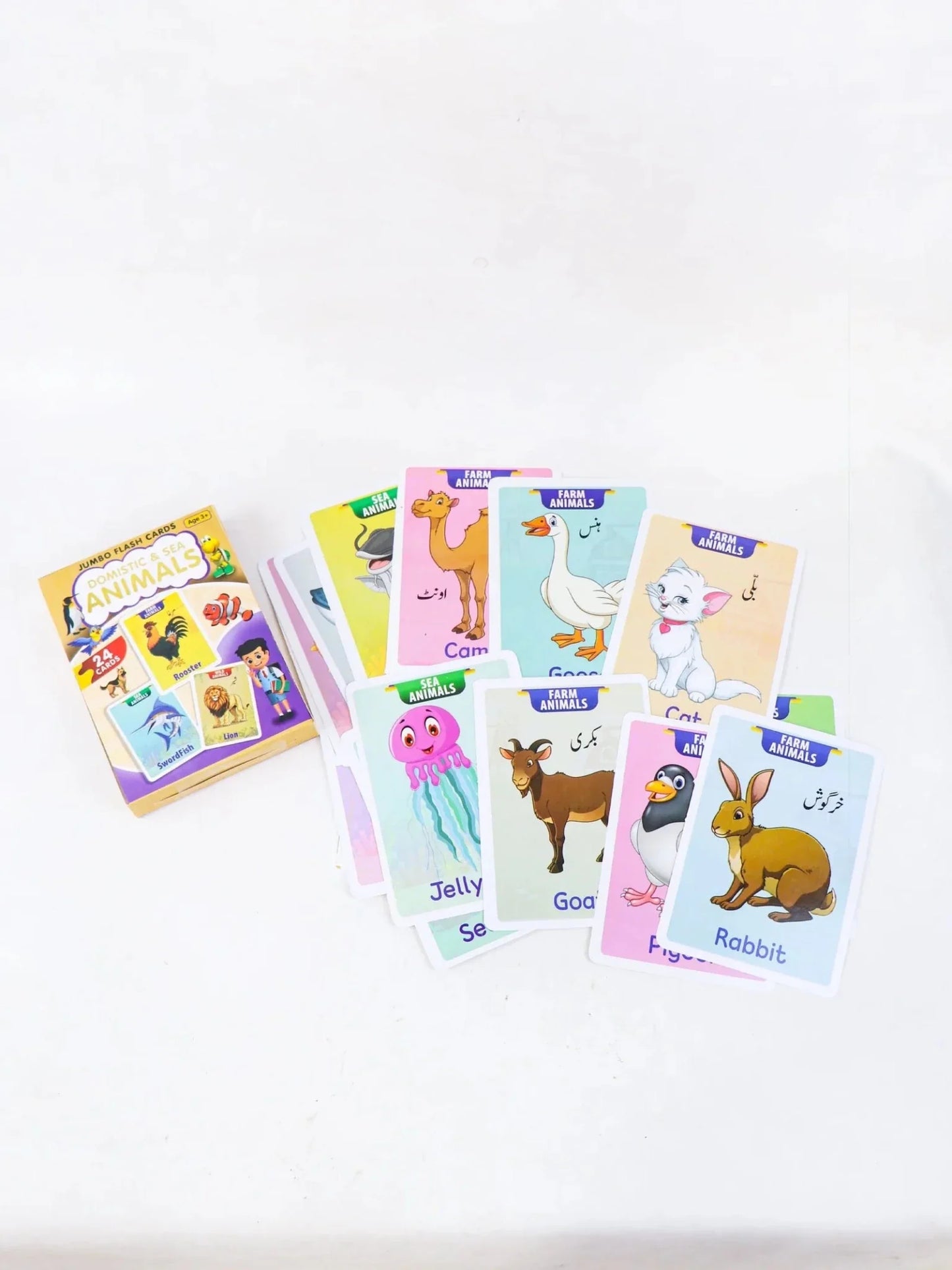 Domestic & Sea Animals Jumbo Flash Cards for Kids
