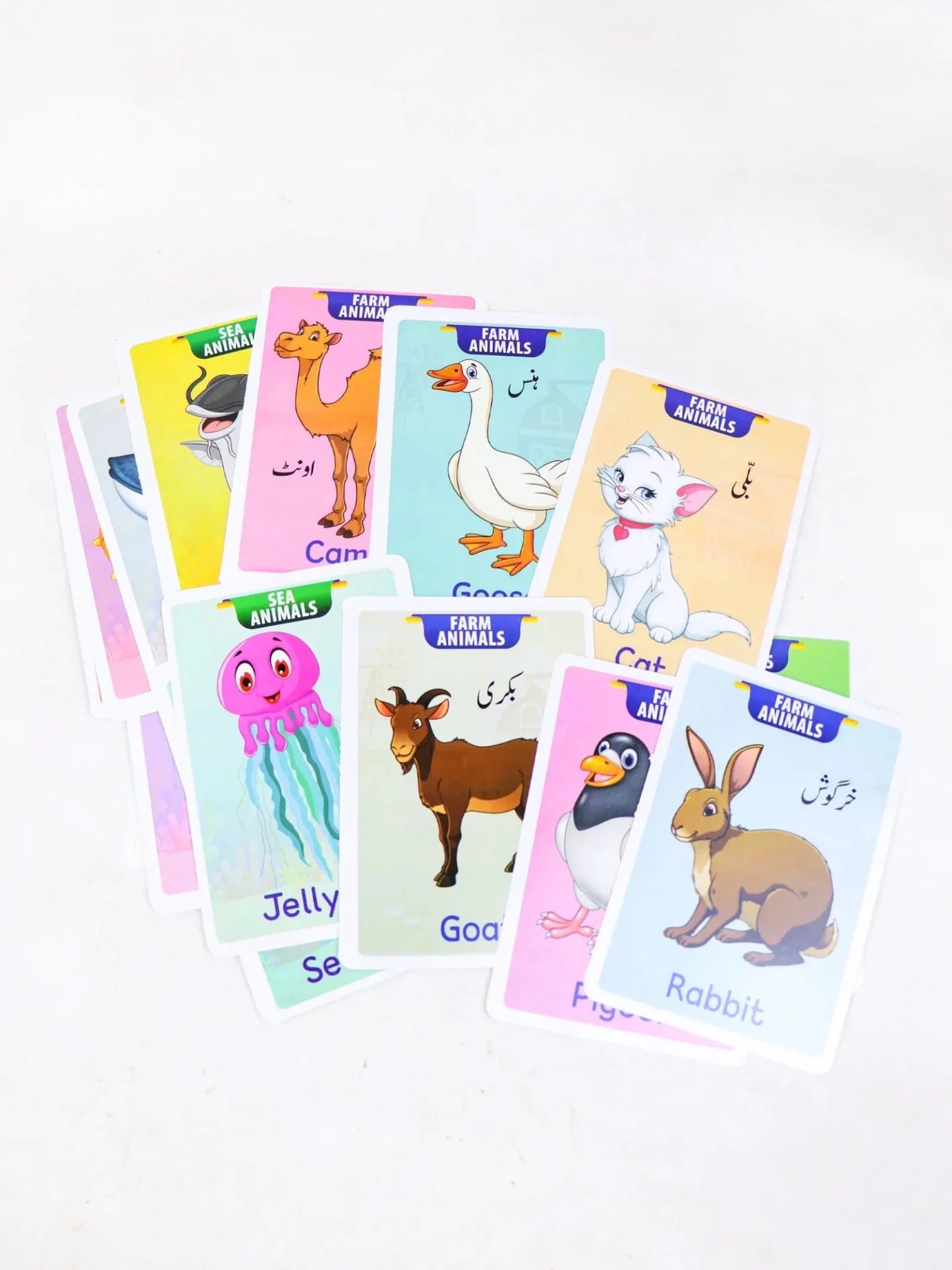 Domestic & Sea Animals Jumbo Flash Cards for Kids